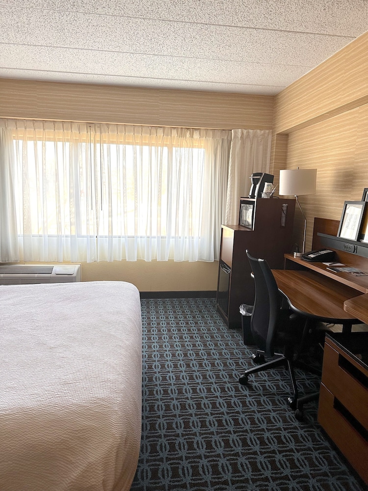 Suite, 1 King Bed with Sofa bed photo 3