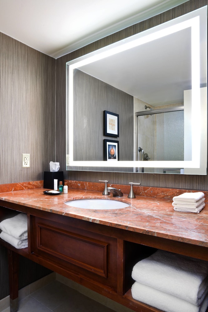 Suite - Photo 7