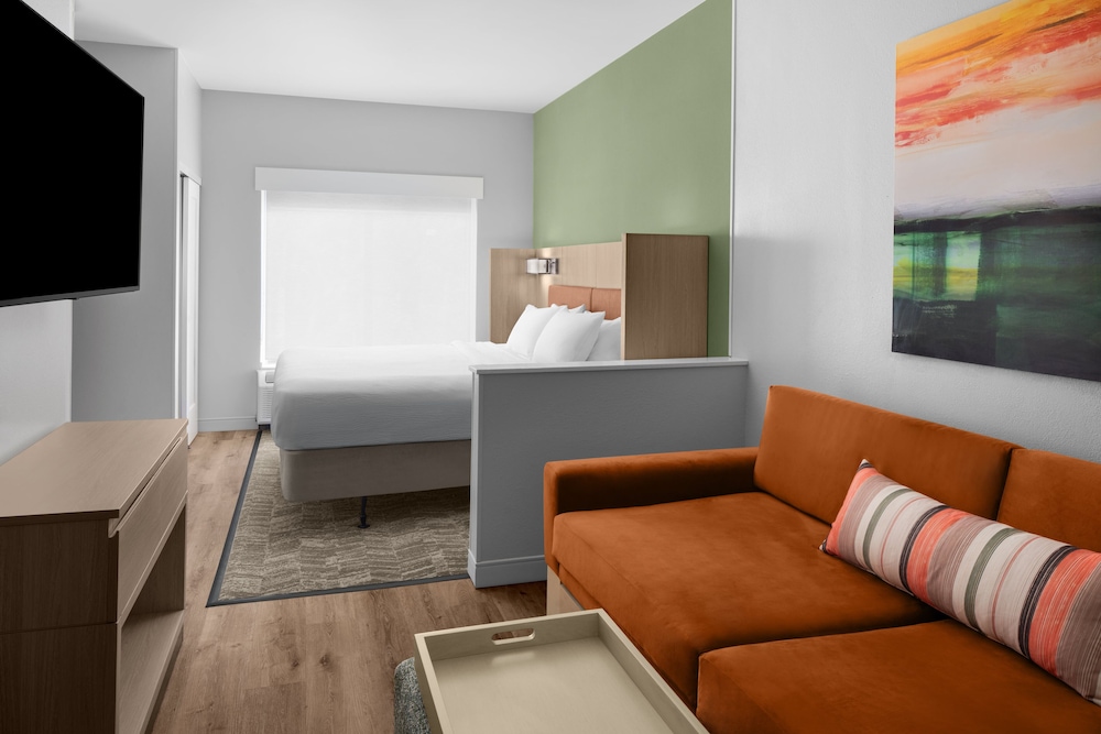 Studio, 1 King Bed with Sofa bed (Mobility Accessible, Tub)