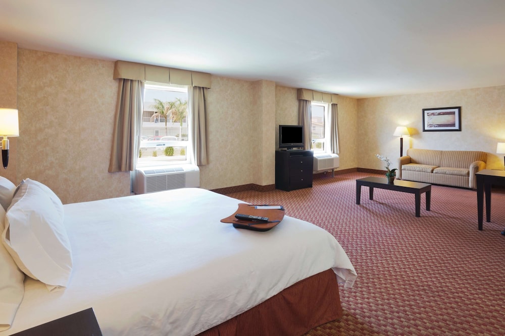 Suite, 1 King Bed, Non Smoking - Photo 6