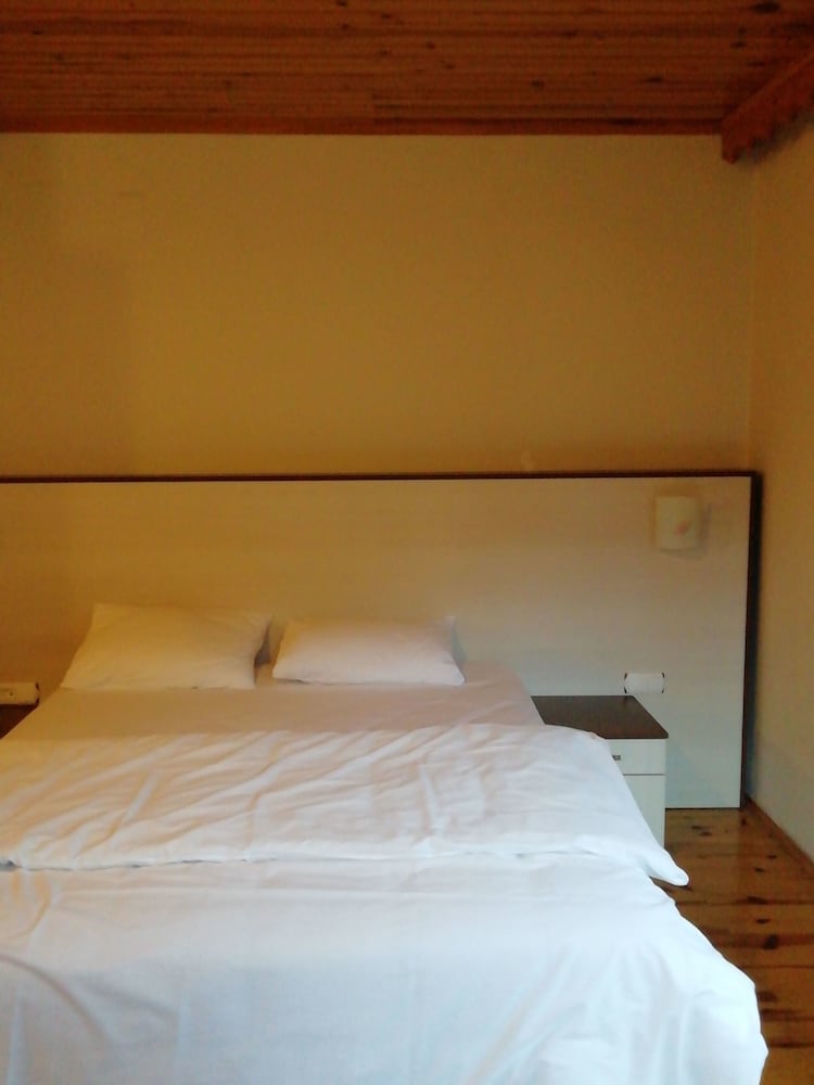 Deluxe Double Room, 1 Queen Bed, Smoking, Mountain View photo 1