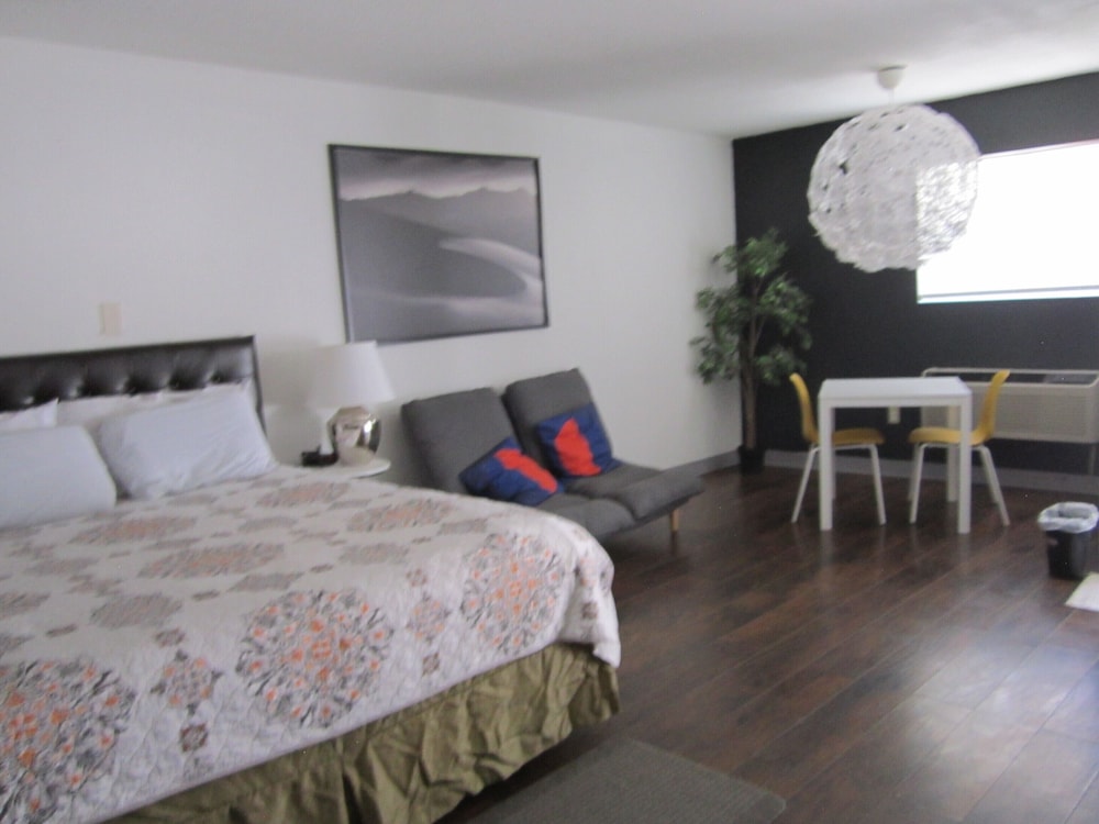 Standard Single Room, 1 King Bed photo 3