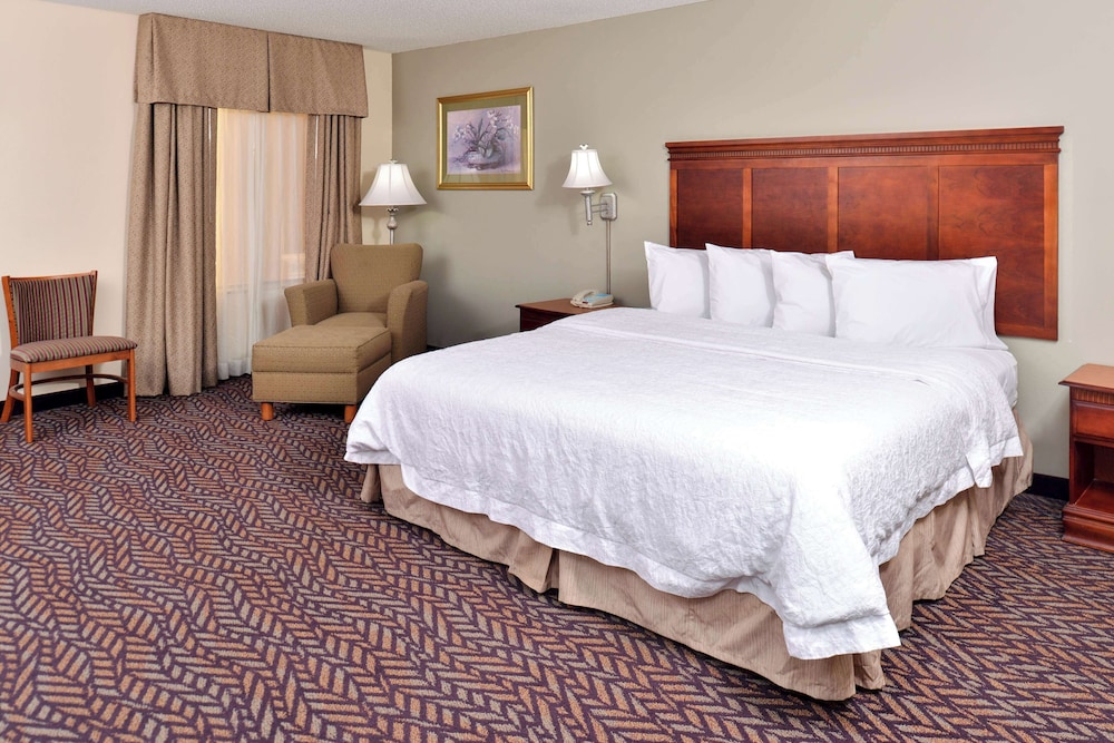 Room, 1 King Bed, Accessible - Photo 1