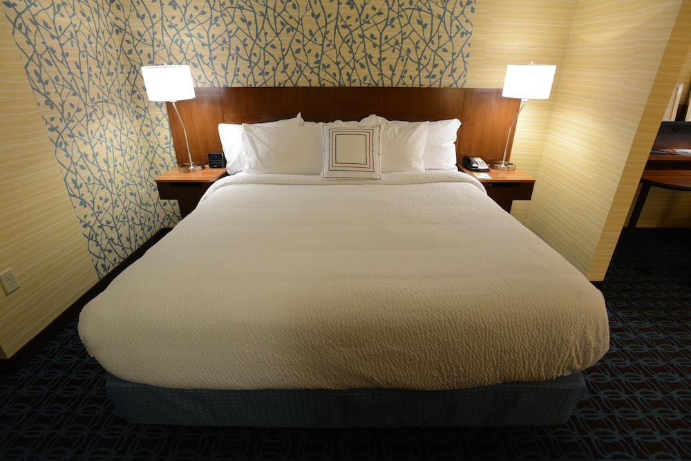 Room, 1 King Bed with Sofa bed (Mobility/Hearing Access, Roll-In Shwr)