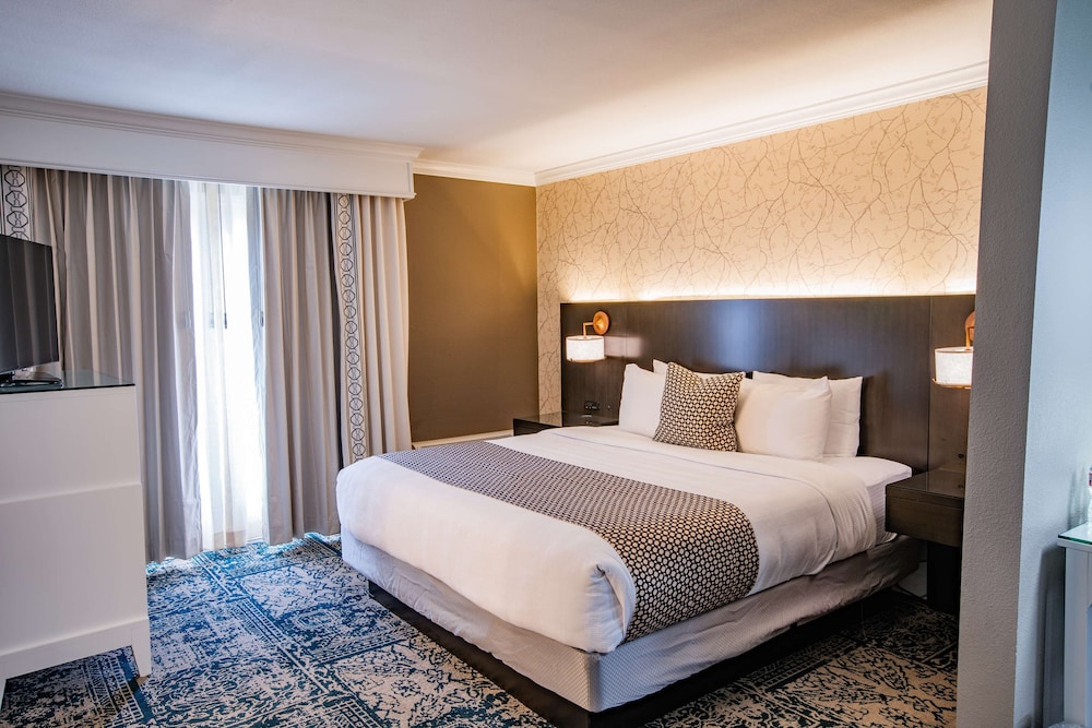 Studio Suite, 1 King Bed - Photo 3