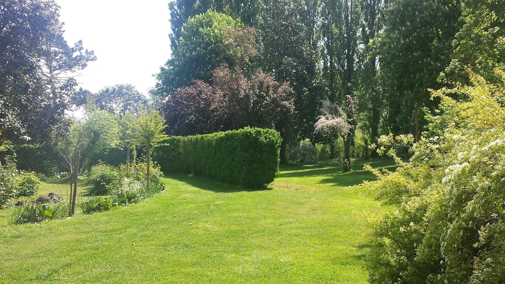Deluxe Single Room, Patio, Garden View photo 3