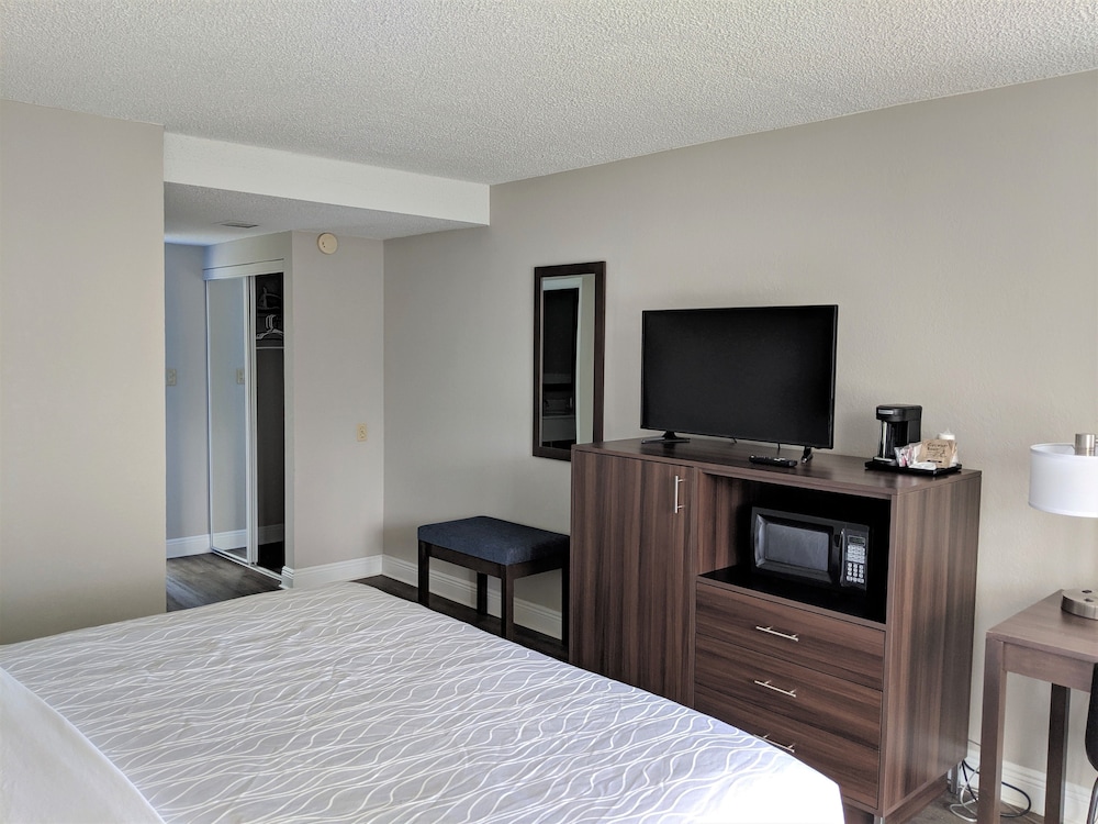 Room, 1 King Bed, Lake View - Photo 3