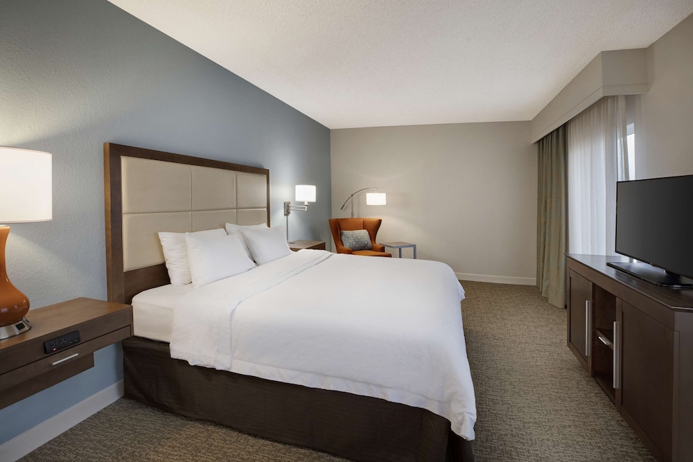Suite, 1 King Bed, Non Smoking photo 3