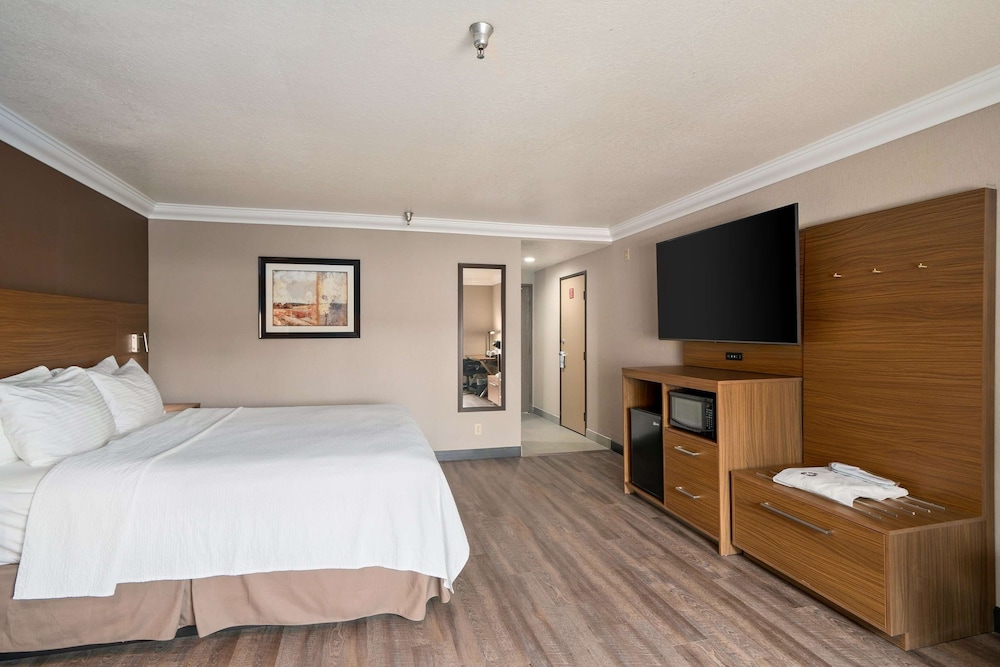 Standard Room, 1 King Bed, Non Smoking, Bathtub - Photo 3