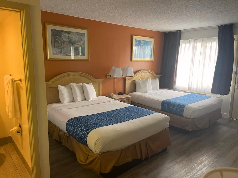 Superior Room, 2 Queen Beds photo 1