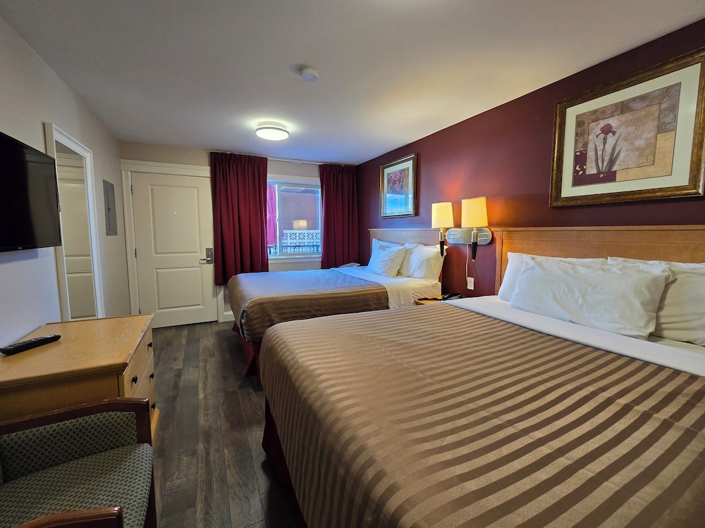 Queen Two Bed Suite photo 2
