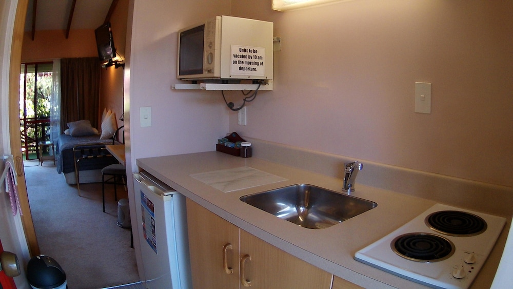 Large Studio Apartment photo 3