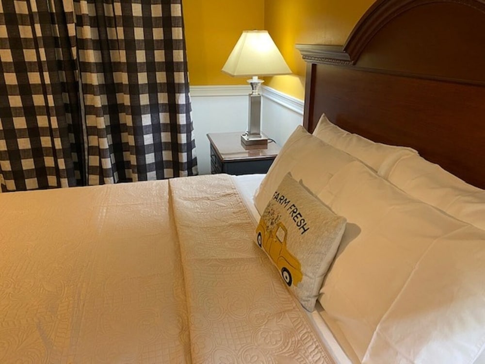Classic Room, 1 King Bed, Refrigerator & Microwave photo 1