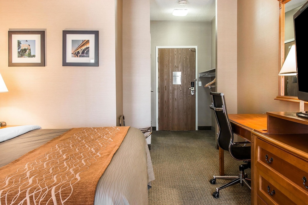 Standard Room, 1 King Bed, Non Smoking, Jetted Tub photo 2
