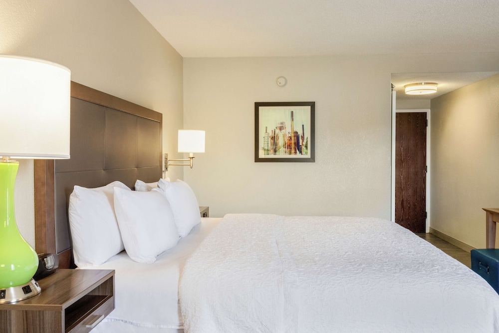 Room, 1 King Bed, Accessible, Non Smoking (Hearing Impaired) - Photo 3