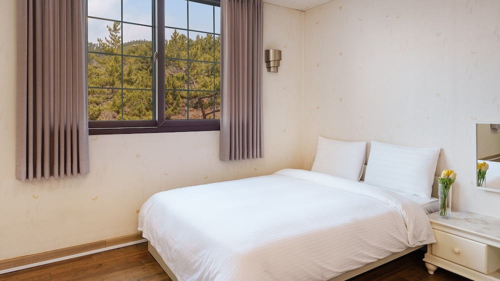 Basic Room, 1 Bedroom (room 303(no pet))