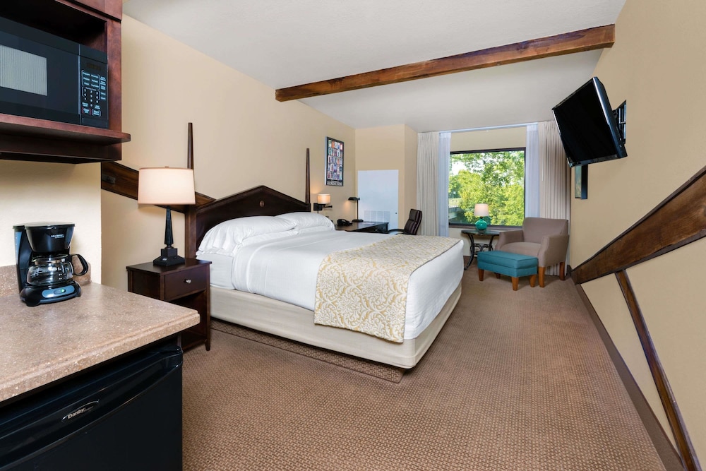 Room, 1 King Bed, Non Smoking, River View - Photo 1