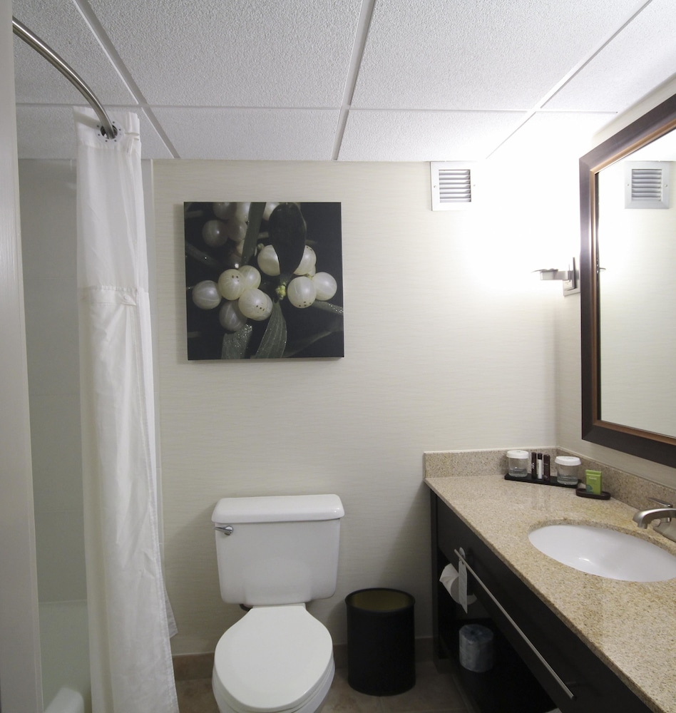 Suite, 1 King Bed, Non Smoking (President Suite) photo 2