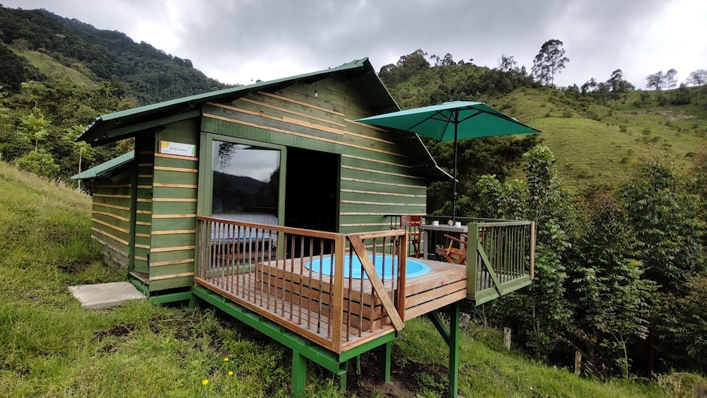 Deluxe Cabin, 1 King Bed, Private Pool, Mountain View photo 1