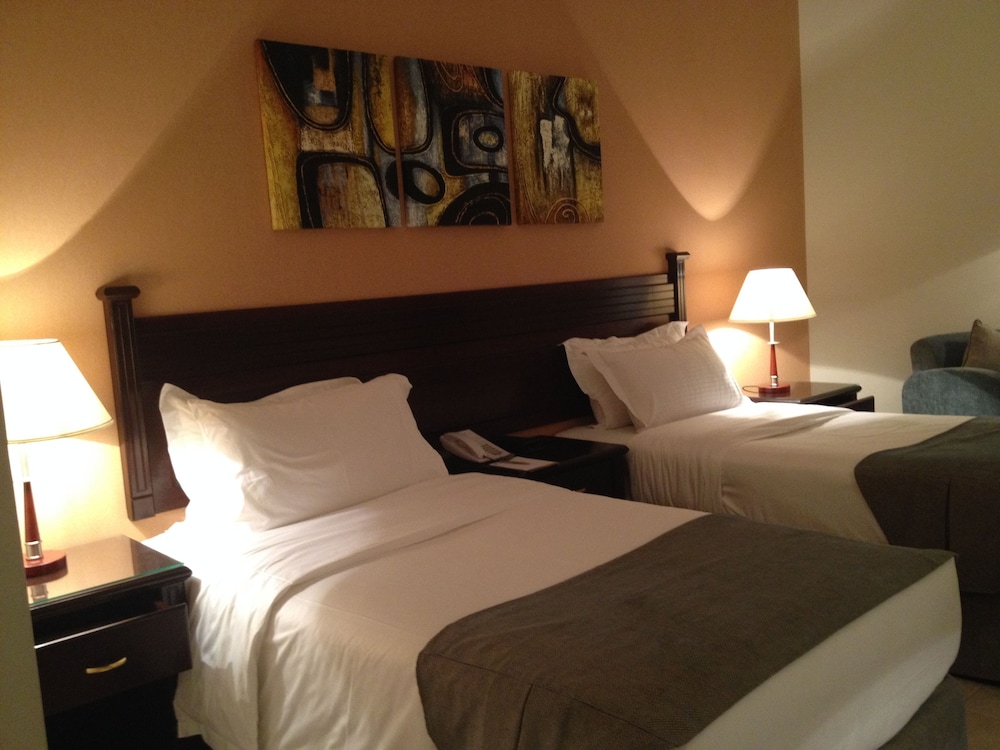 Suite - Photo 3