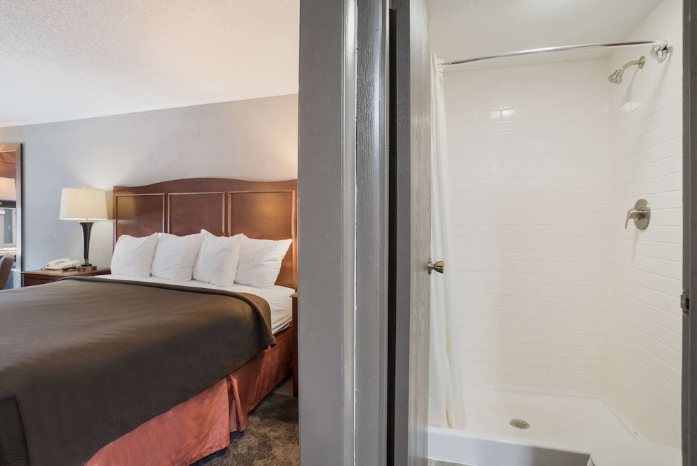 Standard Room, 1 King Bed, Non Smoking - Photo 6