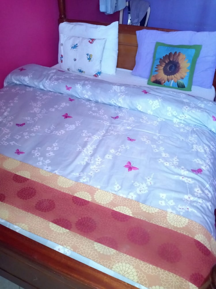Single Room photo 1