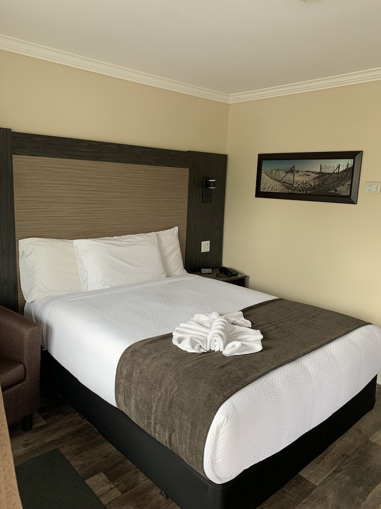Room, 1 Queen Bed photo 2