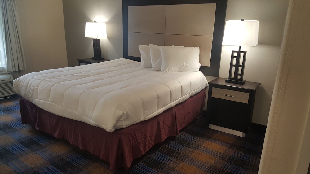 1 King Bed