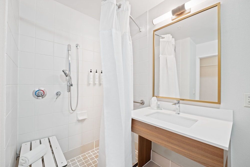 Suite, 1 King Bed (Mobility Accessible, Roll-in Shower) - Photo 4