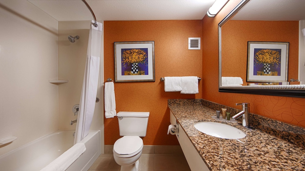 Standard Room, 1 King Bed, Non Smoking, Refrigerator (with Sofabed) - Photo 5