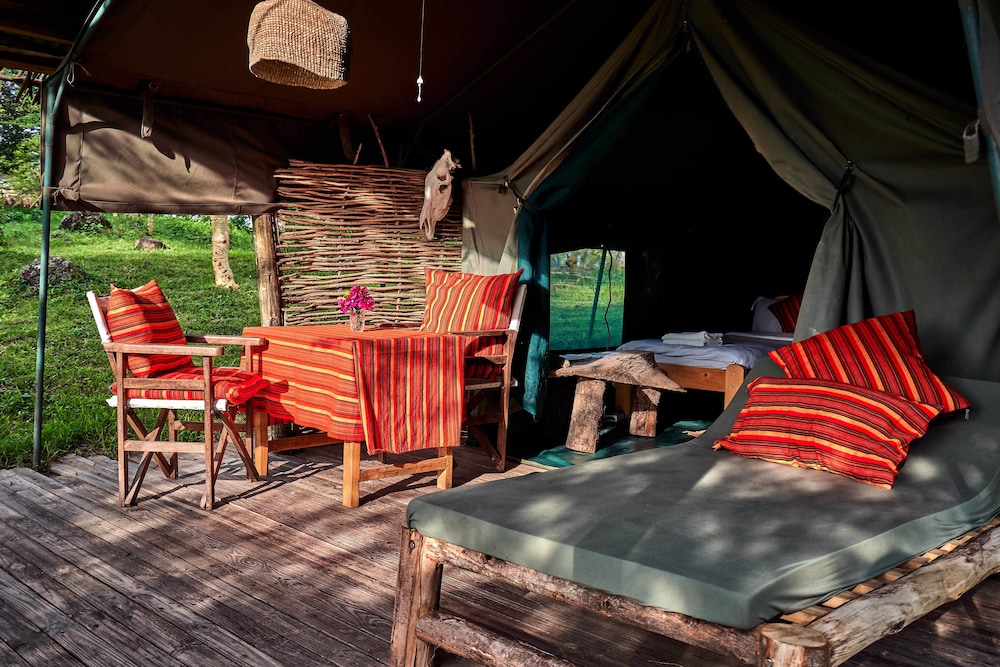 Standard Tent, Mountain View