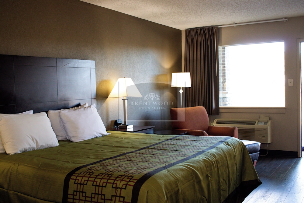Single Room, 1 King Bed photo 1
