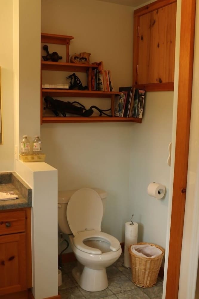 Deluxe Suite, 1 Queen Bed, Fireplace, Lake View (Walter) photo 3