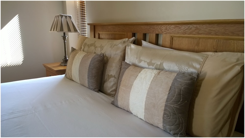 Room, 1 Queen Bed photo 1