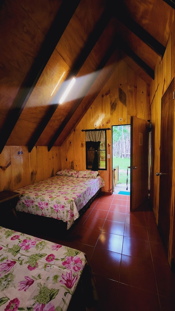 Traditional Cabin, Patio, Garden View photo 1