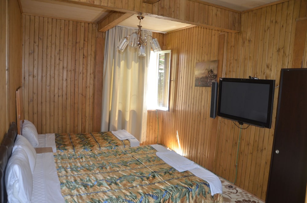 Twin Room photo 1