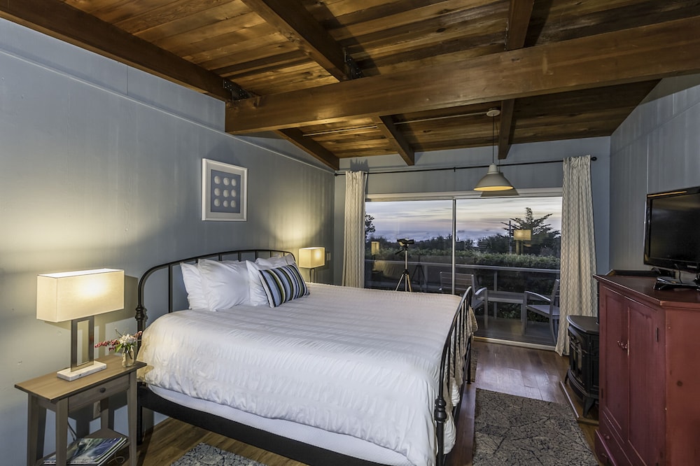 Van Damme Room - Photo 1