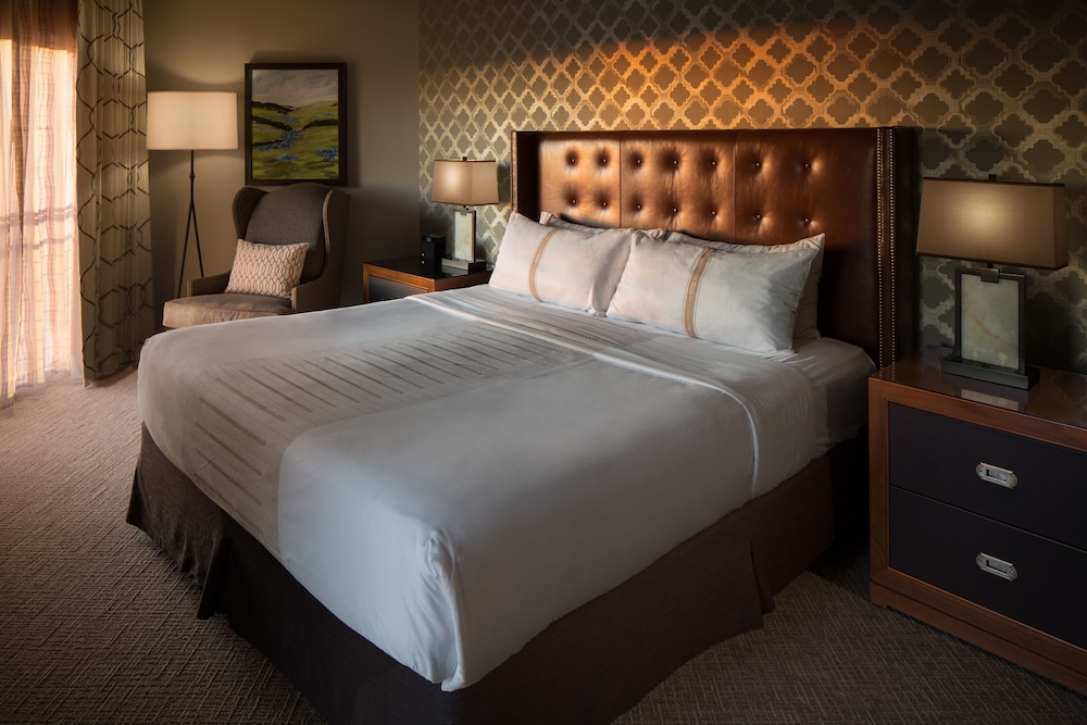 Luxury Suite (Texas)