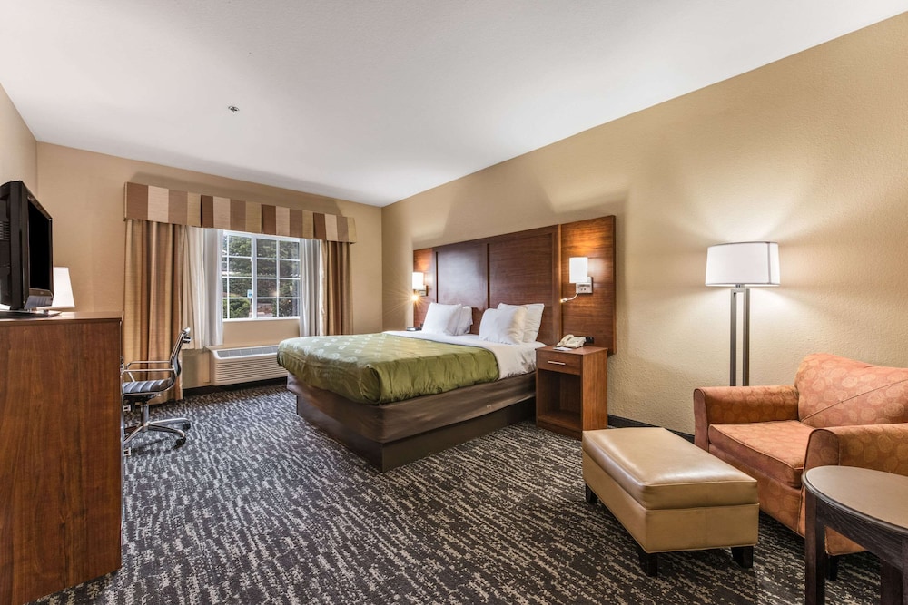 Room, 1 King Bed, Non Smoking