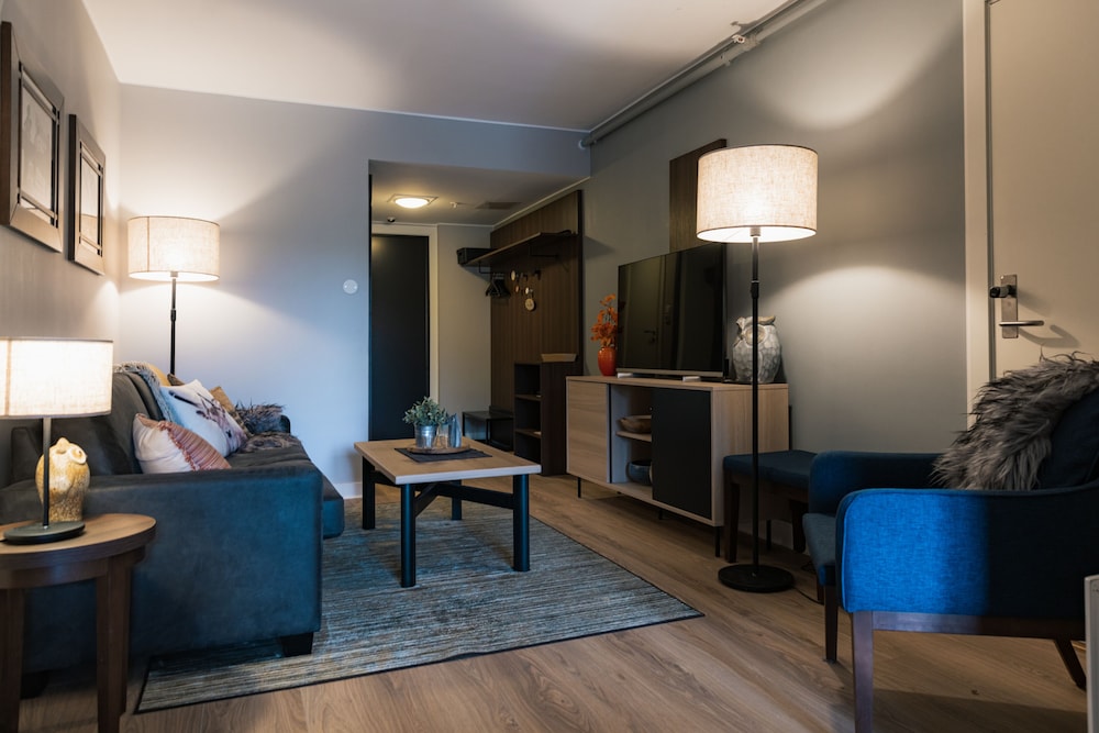 Comfort Apartment, 2 Bedrooms photo 3