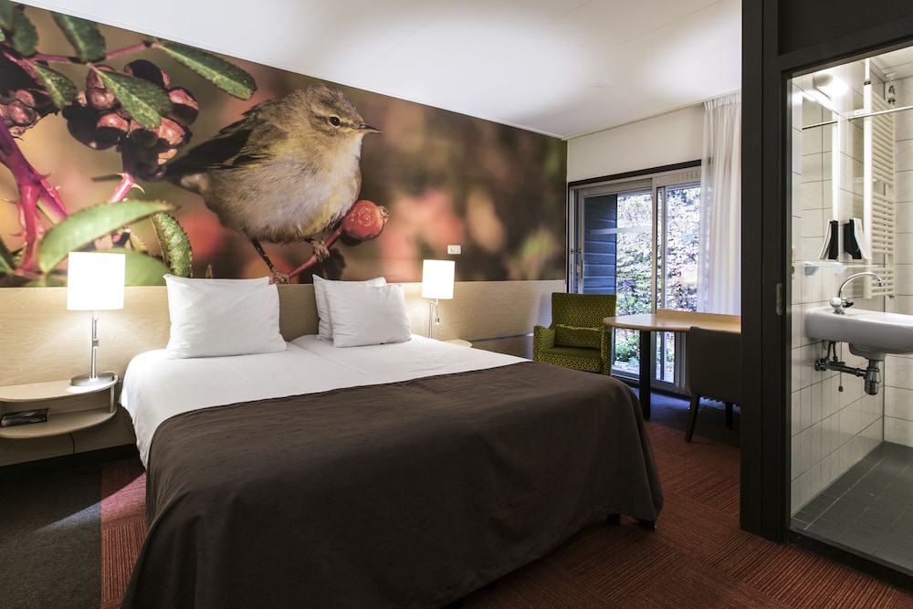 Comfort Twin Room, Terrace - Photo 3