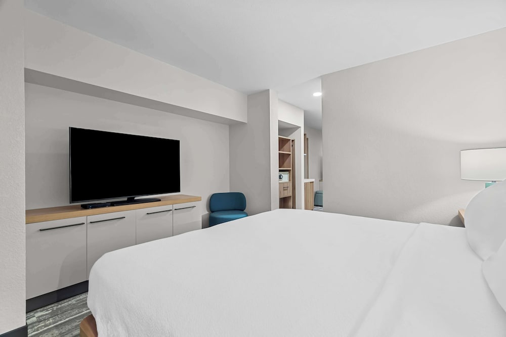 1 King Bed, Accessible photo 2