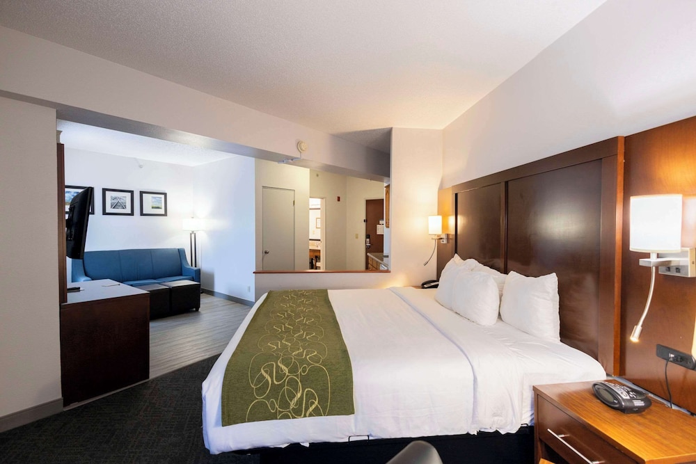 Suite, 1 King Bed, Non Smoking - Photo 23