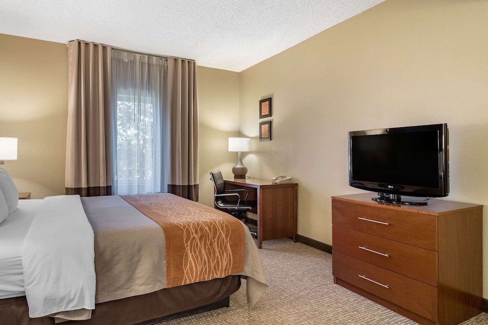 Room, 1 King Bed, Accessible, Non Smoking - Photo 1
