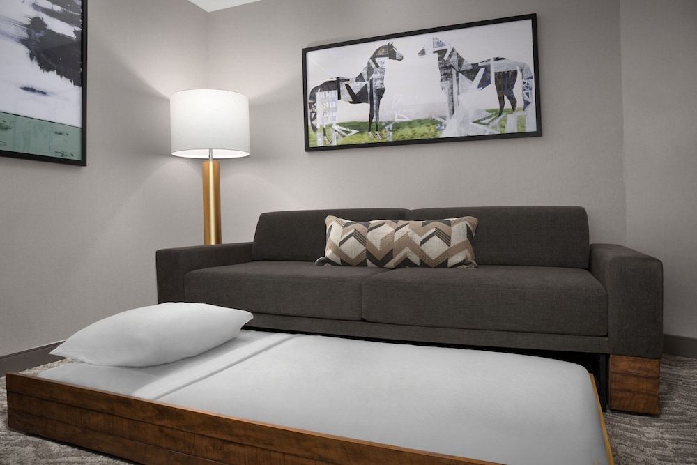 Springhill Suites by Marriott Lexington Fritz Farm, Zdjęcie 5
