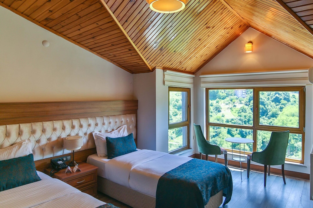 Standard Twin Room, Mountain View photo 1