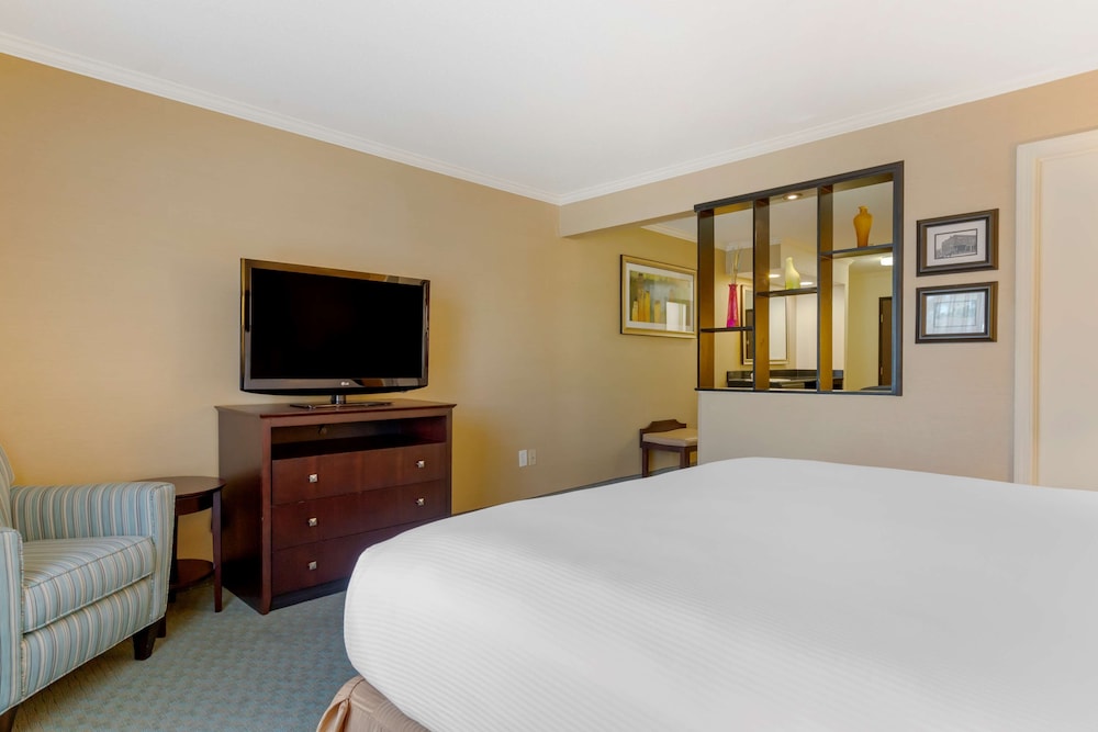 Suite, 1 King Bed, Non Smoking, Refrigerator & Microwave (with Sofabed) photo 2