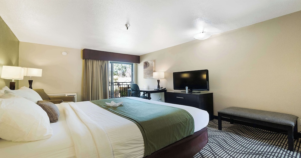 Standard Room, 1 King Bed, Non Smoking, Refrigerator & Microwave - Photo 7