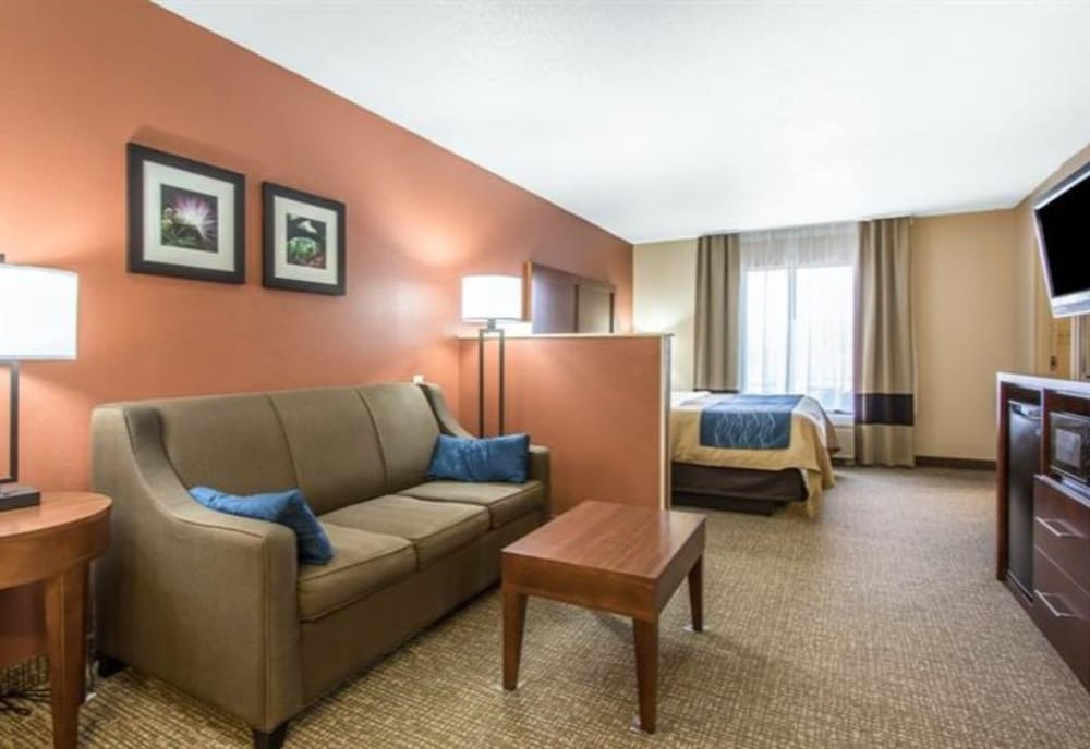 Standard Room, 1 King Bed, Non Smoking photo 1