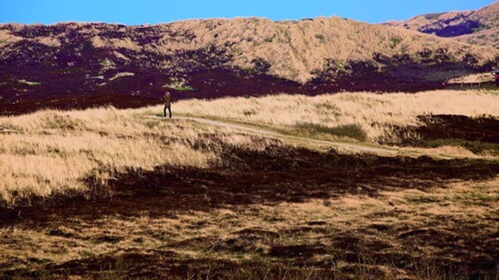 Economy Apartment, 1 Queen Bed with Sofa bed